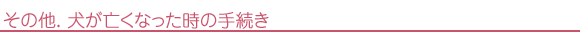 犬が亡くなった時の手続き