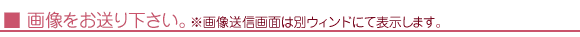 家族（ペット）についてお知らせください。
