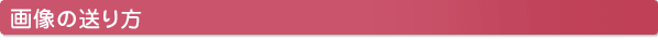 画像をお送り下さい