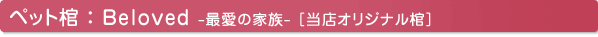 Beloved -最愛の家族-