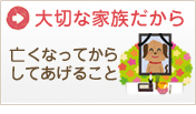 ペットの終活　亡くなってからしてあげる事