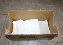 ダンボールの家